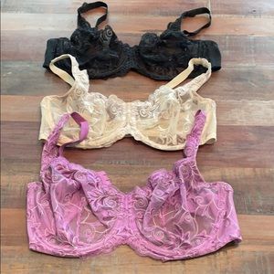 36 DDD bras